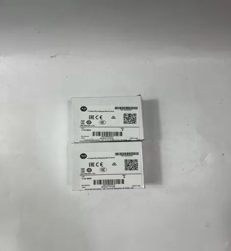 1492-IFM40F-F24D-2 Allen-Bradley Input module