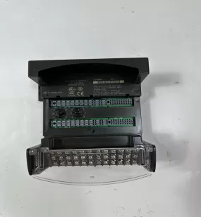 IC200PWR002G General Electric Processor module